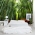 Bamboo Path Wall Mural