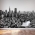 City View Wall Mural