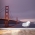 Golden Gate Night Lights Wall Mural