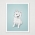 West Highland White Terrier print