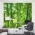 Bamboo Forest Wall Mural