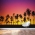 Palm Tree Sunset Wall Mural