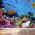 Sea Reef Life Wall Mural