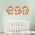 Three Monkeys Printed Wall Decal