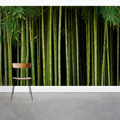 Bamboo Stalk Forest Wall Mural