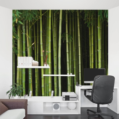 Bamboo Stalk Forest Wall Mural