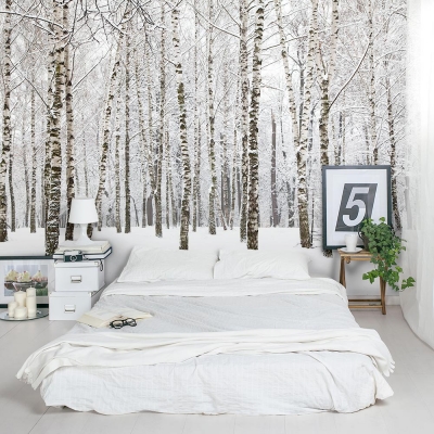 Winter Birch Tree Forest Wall Mural