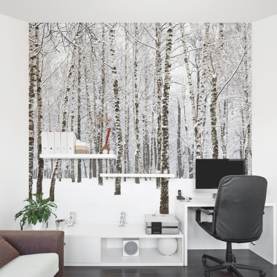 Winter Birch Tree Forest Wall Mural