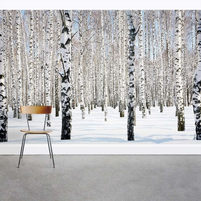 Snow Dense Winter Birch Tree Forest Wall Mural