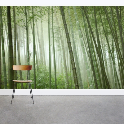 Bamboo Grove Wall Mural