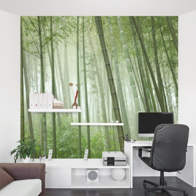 Bamboo Grove Office Wall Mural