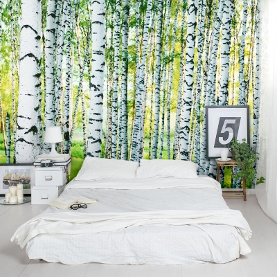 Dense Birch Tree Forest Wall Mural