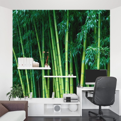 Bamboo Hideaway Wall Mural