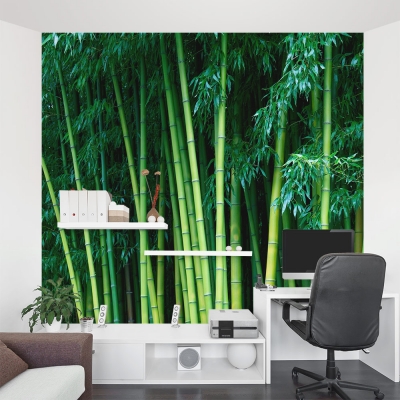 Bamboo Hideaway Wall Mural