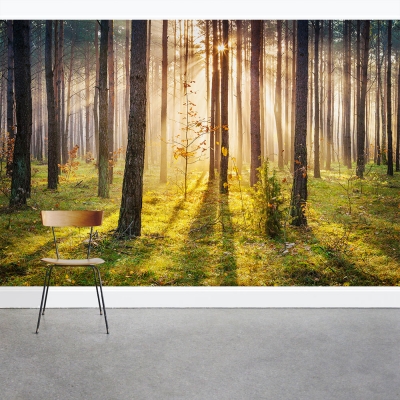 Sunset Woodland Wall Mural