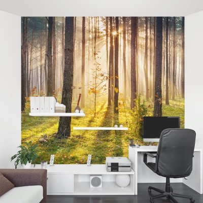 Sunset Woodland Wall Mural