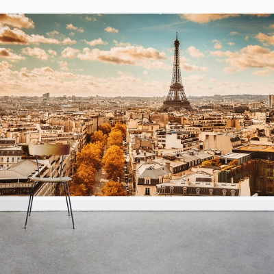 A View in Paris Wall Mural