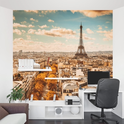 A View in Paris Wall Mural