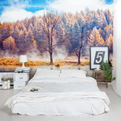 Fall Haze Lake Wall Mural