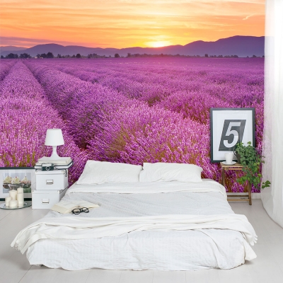 Blooming French Lavender Wall Mural