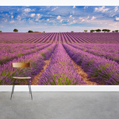 French Lavender Field Wall Mural