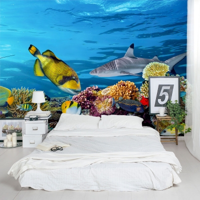 Underwater Sea Life Wall Mural