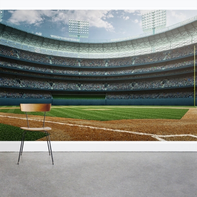 Baseball Star Wall Mural