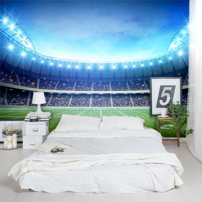 Lights on the Field Wall Mural