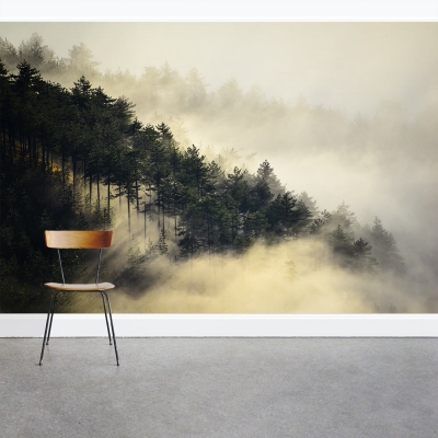 Fog Forest Wall Mural