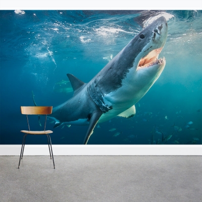 Great White Shark Wall Mural