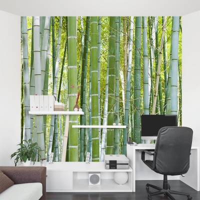 Thick Bamboo Forest Mural Office