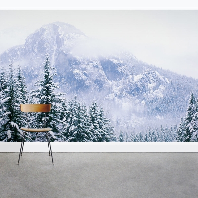 Snow Mountain Forest Wall Mural