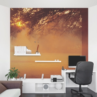 Sunset Tree Wall Mural