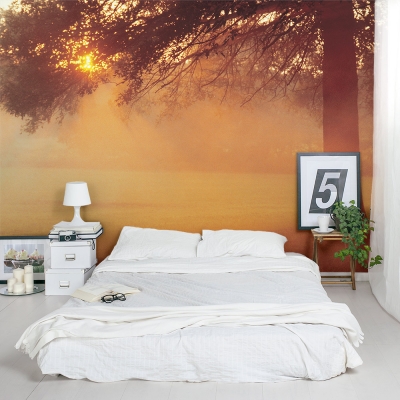 Sunset Tree Wall Mural