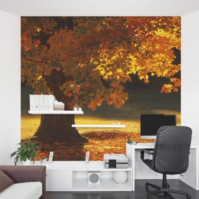 Sunset Tree Wall Mural