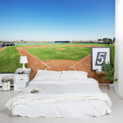 Baseball In Field Wall Mural