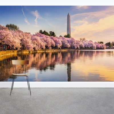 Blossoms at the Monument Wall Mural