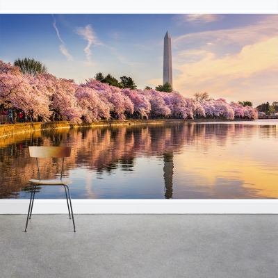 Blossoms at the Monument Wall Mural
