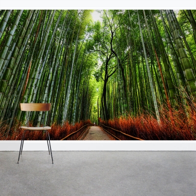 Bamboo Path Wall Mural