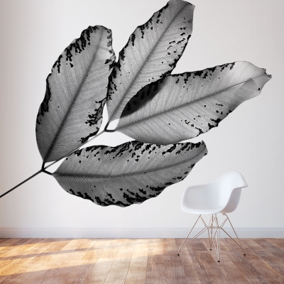 Branches and Leaves Wall Mural