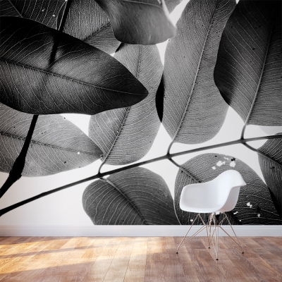 Branches and Leaves Wall Mural