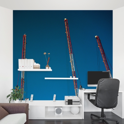 Four Cranes Wall Mural