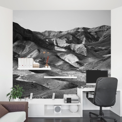 Mountains of the Judaean Desert Wall Mural