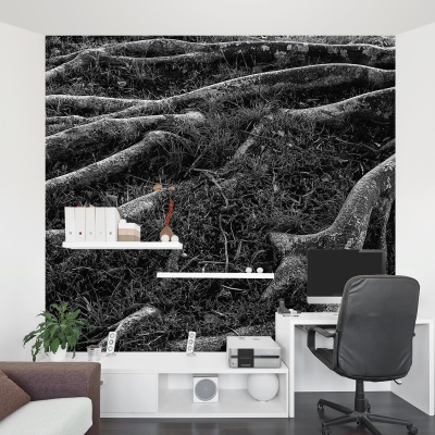 Roots Wall Mural