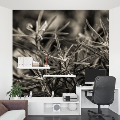 Rosemary Plant Wall Mural