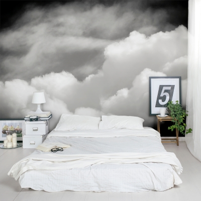 Winter Clouds Wall Mural