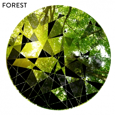 FOREST - Circle Geometric Abstract Printed Wall Decal