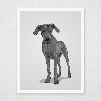 Big Eared Great Dane  Wall Art Print