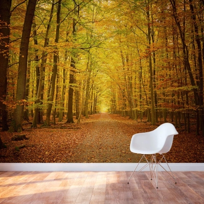 Autumn path Wall Mural