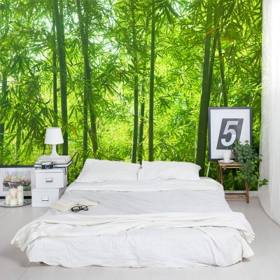 Bamboo Forest wall mural